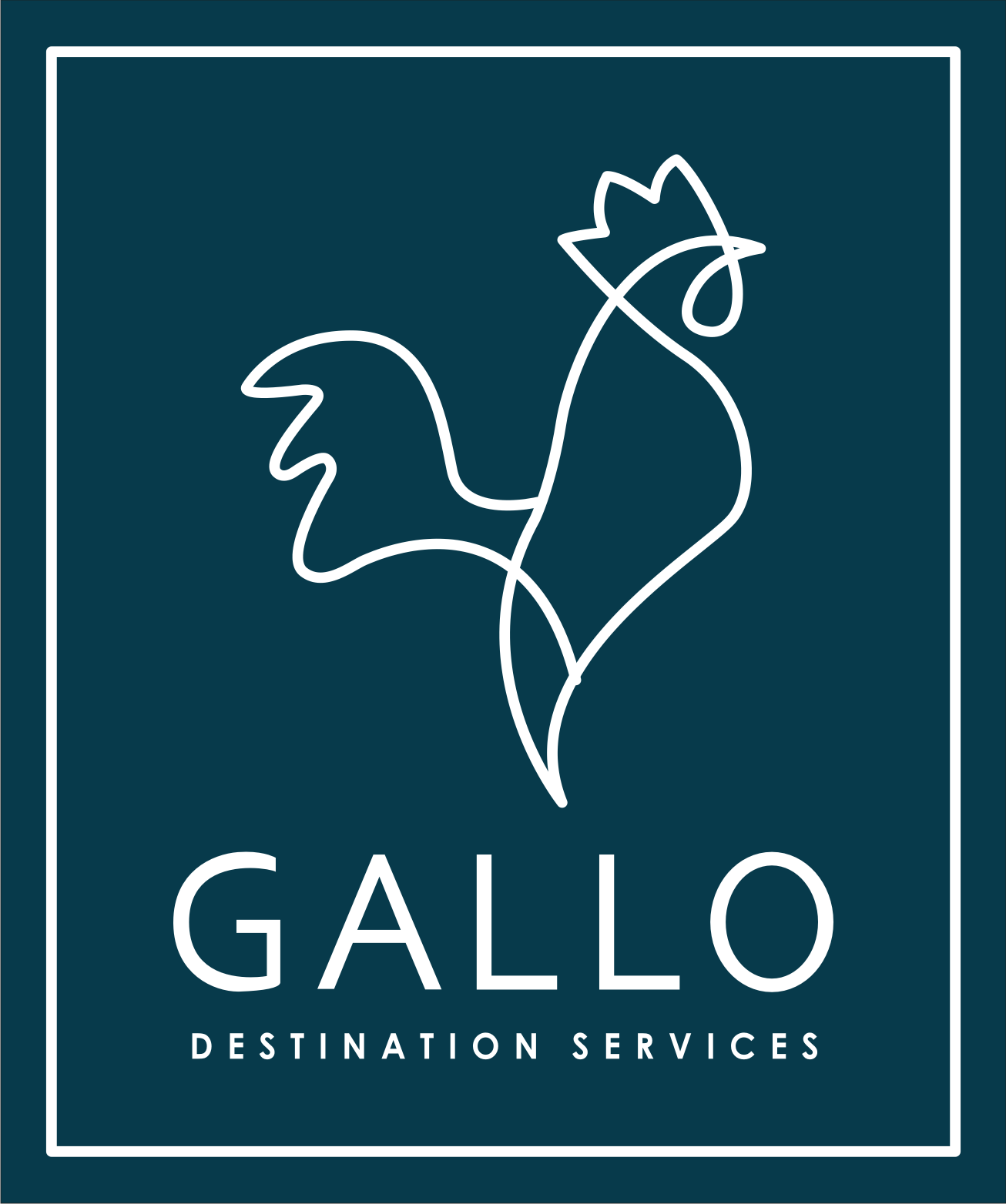 ▷ ¡Gallo Destination Services! | Premium Services | Travel in style and comfort